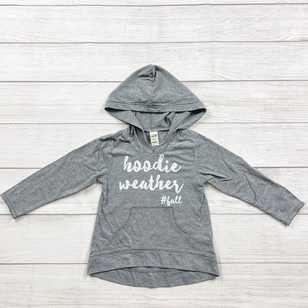 Kavio! Girls Gray Long Sleeve Hoodie Weather Graphic Pullover 3T